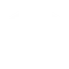 WildFire Storage White Logo 64px